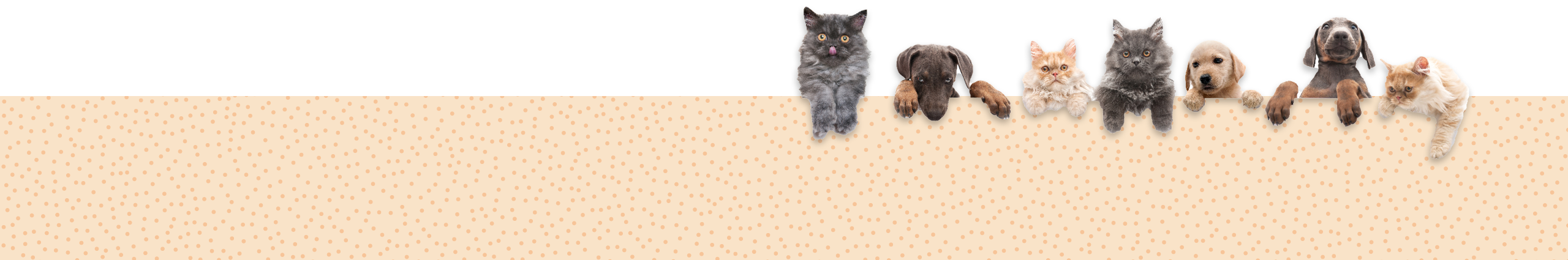 Pet Guide Desktop