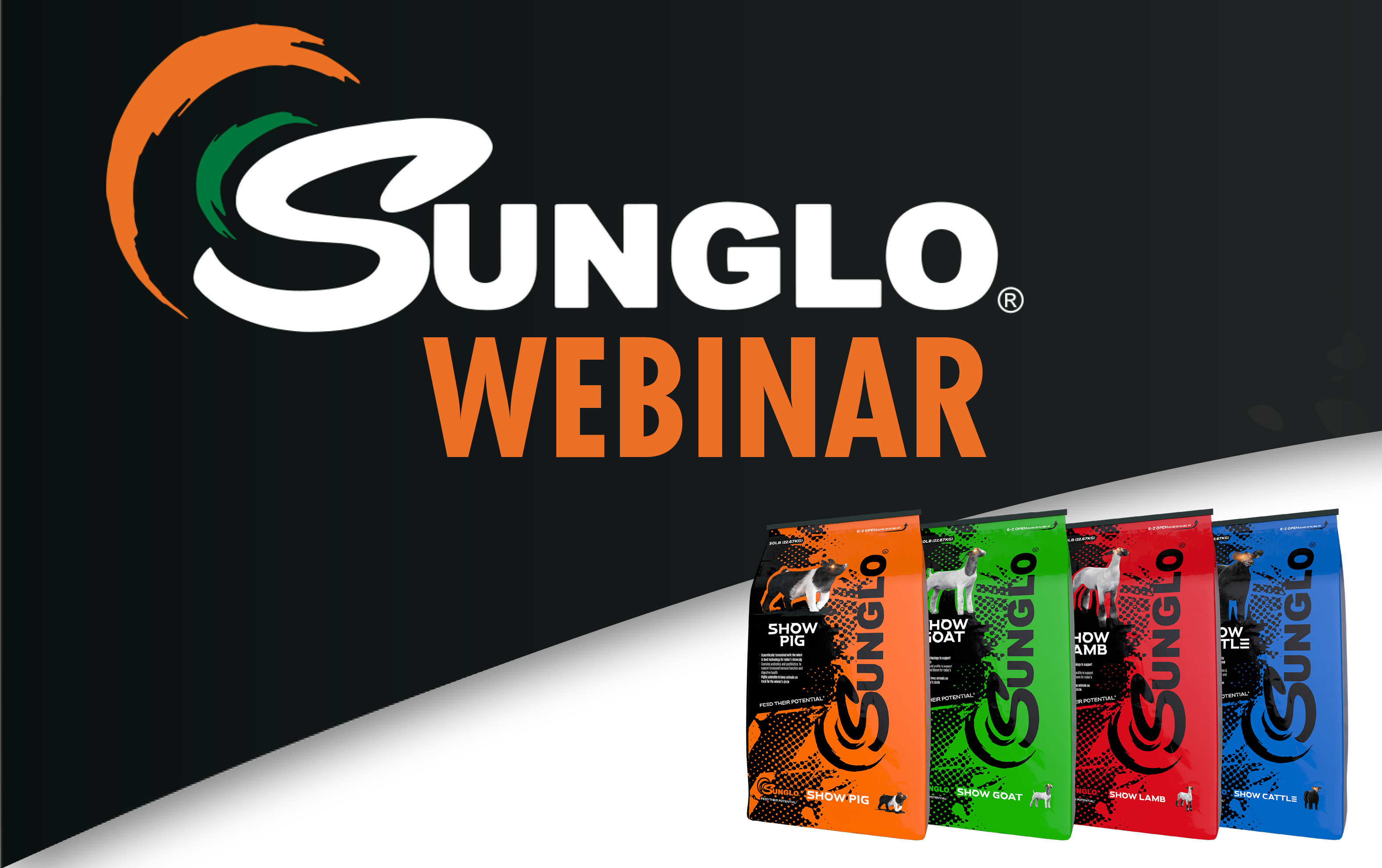 Sunglo Webinar