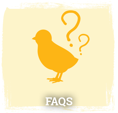 FAQ's Button & Image