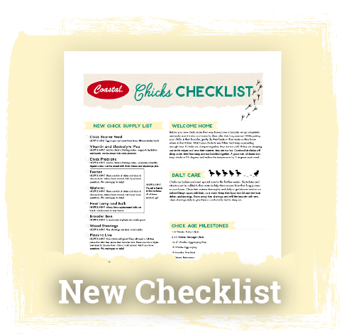 New Chick Checklist Image & Button