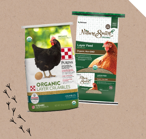 Organic Chicken Feed